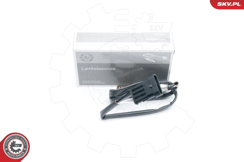 Oxygen Sensor